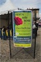 Festa delle Rose